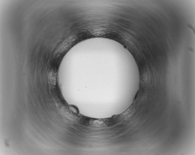 X0000102250180200808151825