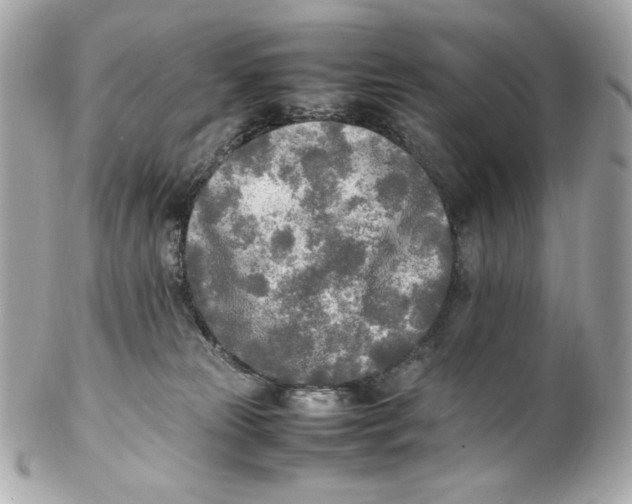 X0000102250181200808151825