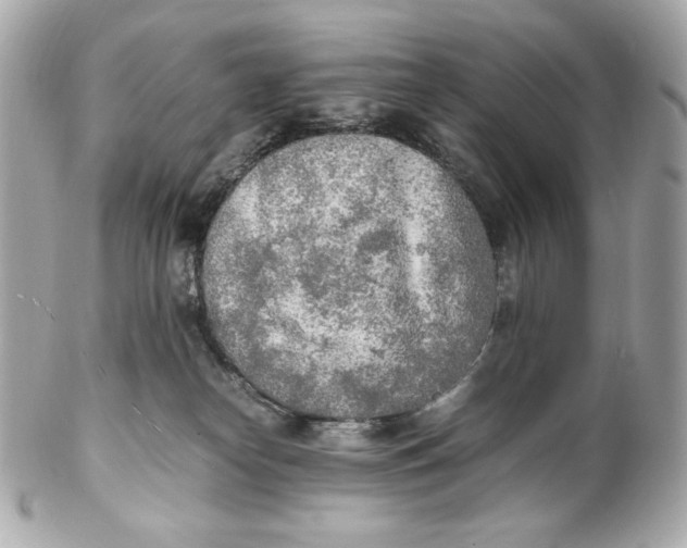 X0000102250182200808151825