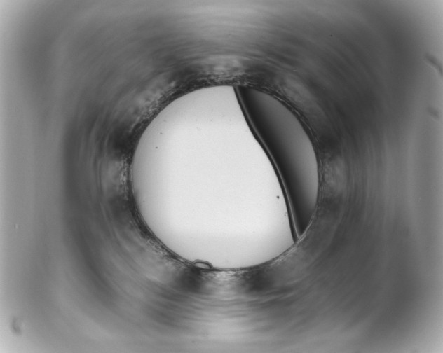 X0000102250184200808151825