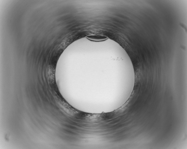 X0000102250186200808151825