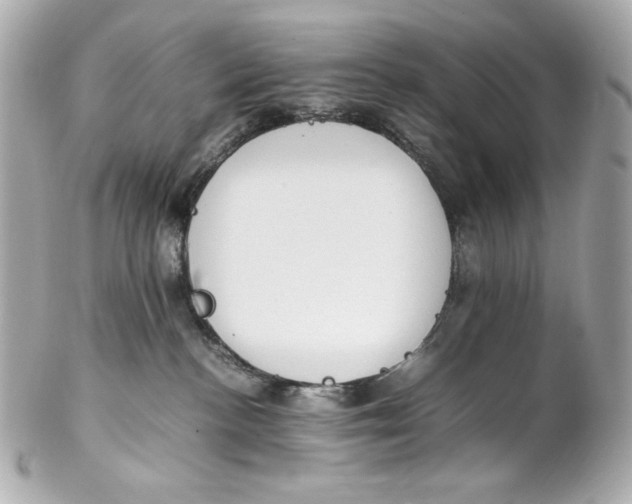 X0000102250188200808151825
