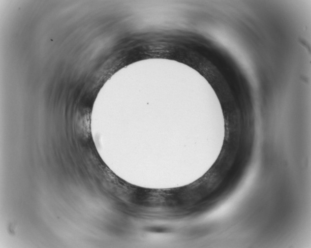 X0000102250190200808151825