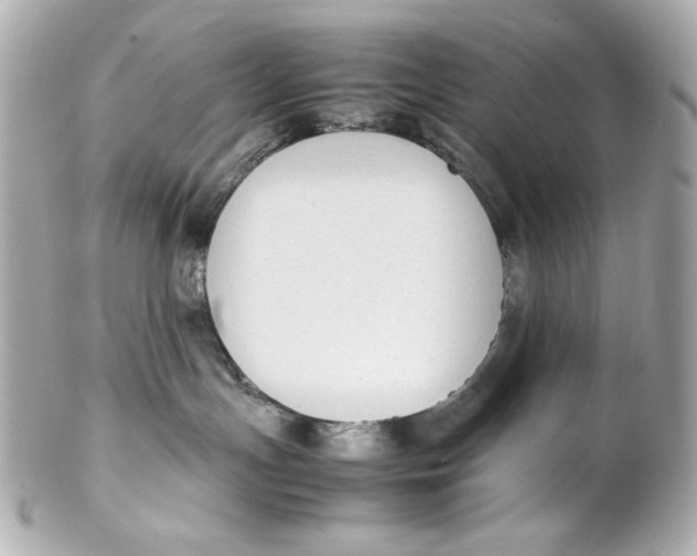 X0000102250191200808151825