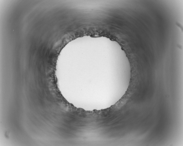 X0000102250192200808151825
