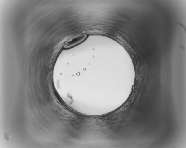 X0000102250193200808151825