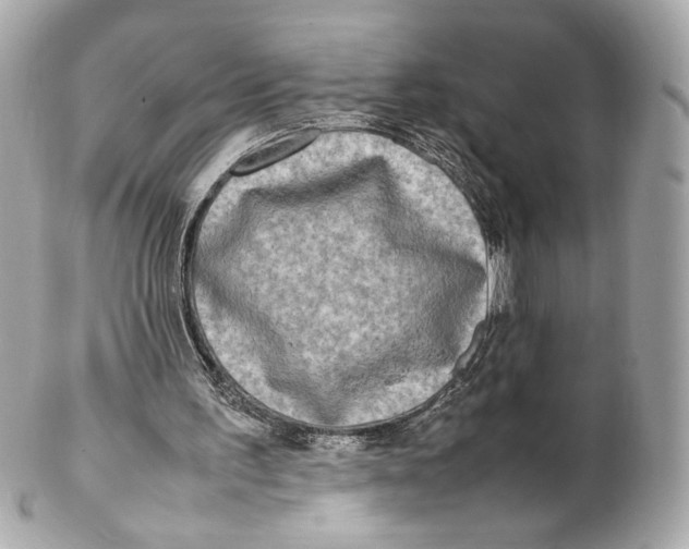 X0000102250195200808151825
