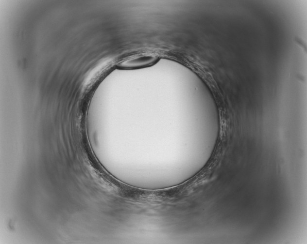 X0000102250197200808151825