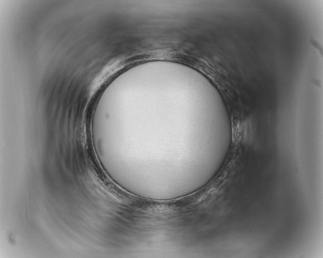 X0000102250198200808151825