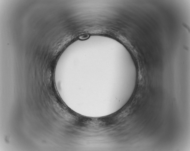 X0000102250201200808151825
