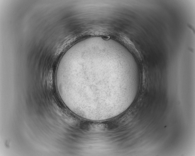 X0000102250202200808151825