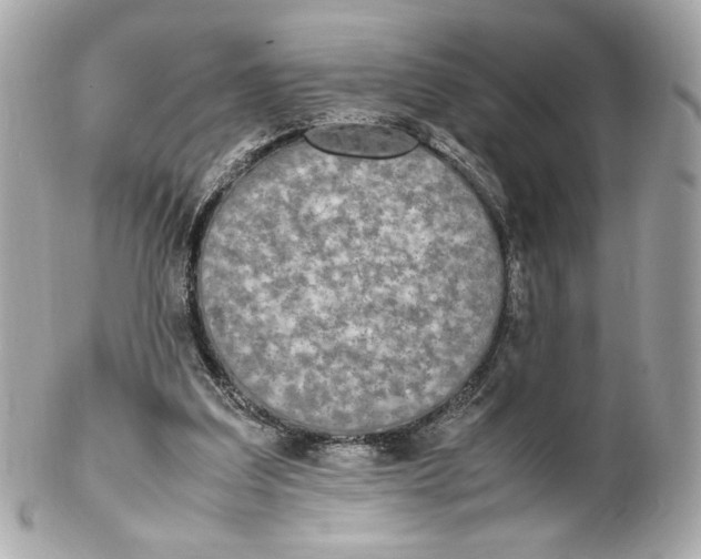 X0000102250203200808151825