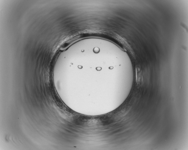 X0000102250204200808151825
