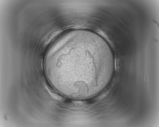 X0000102250205200808151825