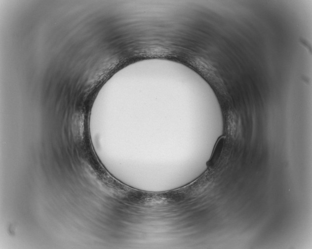 X0000102250206200808151825