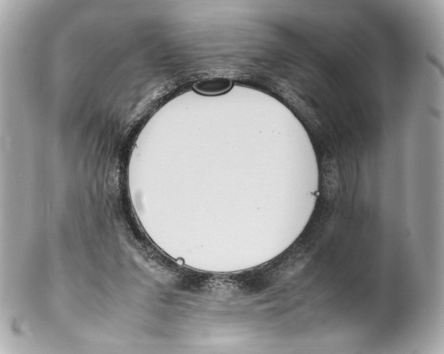 X0000102250207200808151825