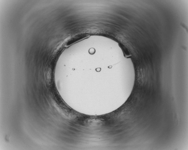 X0000102250208200808151825