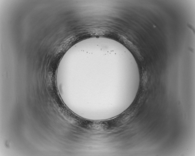X0000102250209200808151824