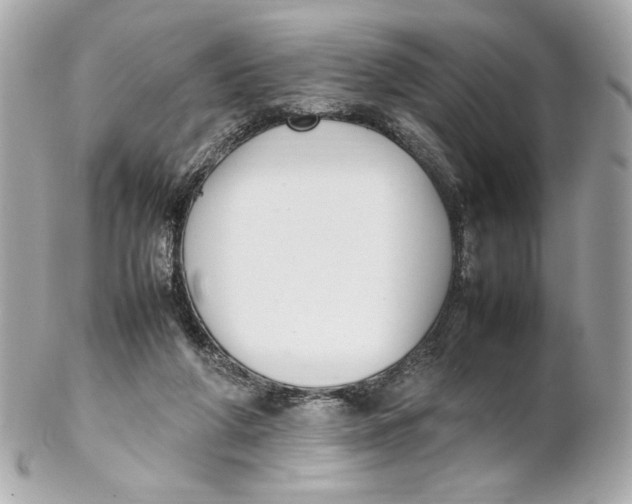 X0000102250210200808151824