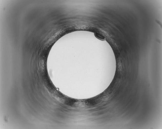 X0000102250211200808151824