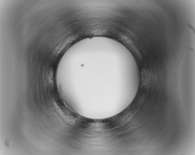 X0000102250212200808151824