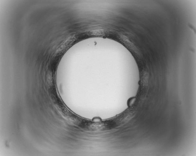 X0000102250213200808151824