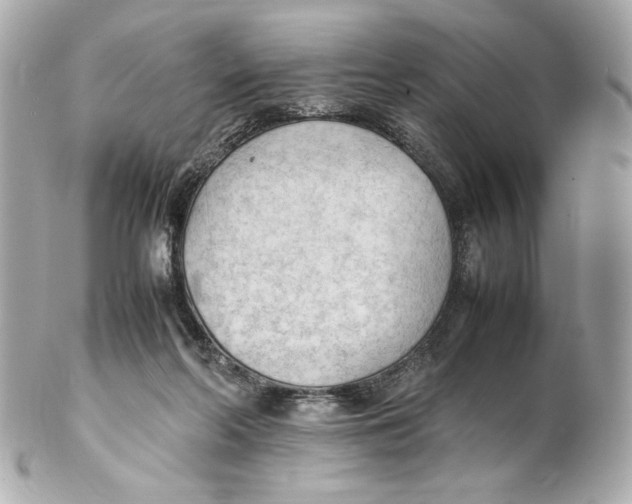 X0000102250214200808151824