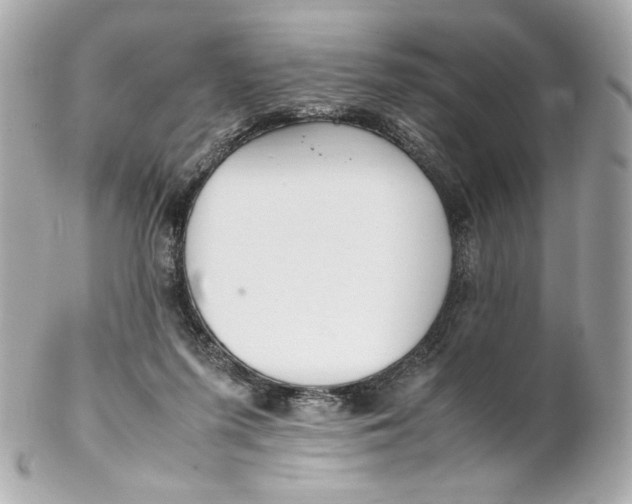 X0000102250215200808151824