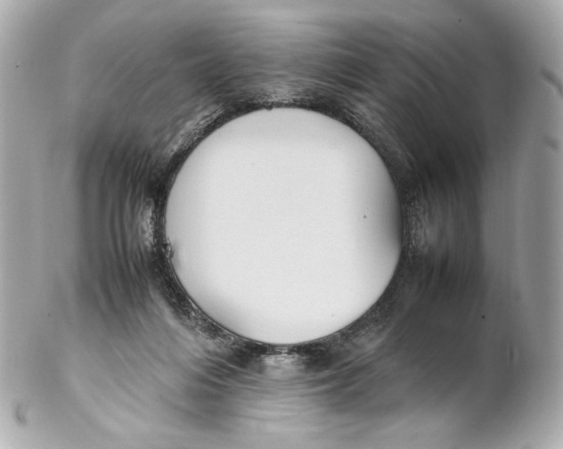 X0000102250216200808151824