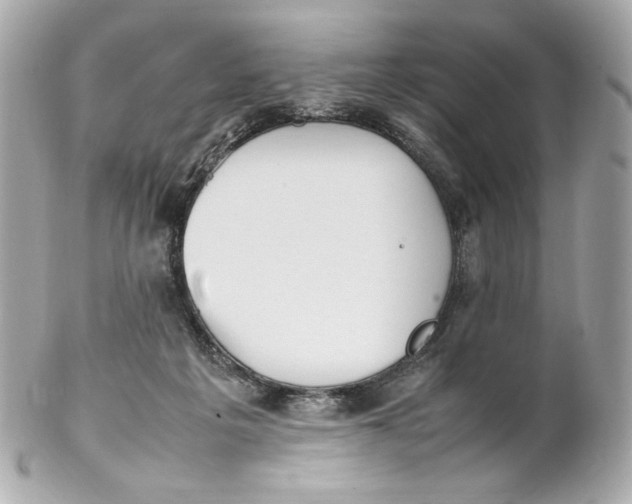 X0000102250217200808151824