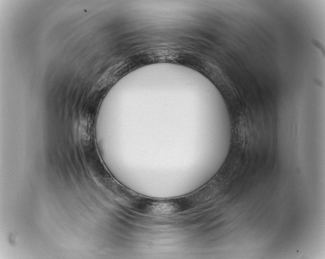 X0000102250218200808151824