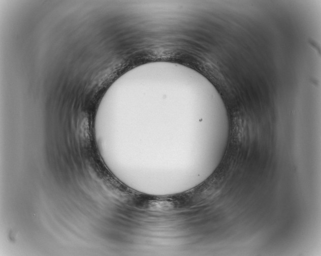 X0000102250220200808151824