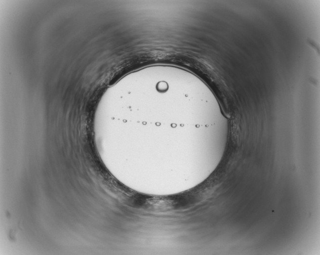 X0000102250221200808151824