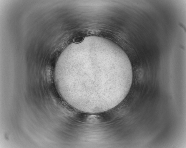 X0000102250222200808151824