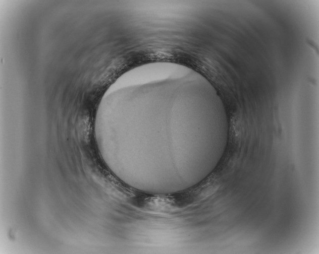 X0000102250223200808151824