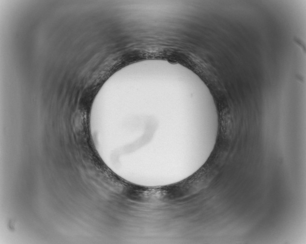 X0000102250225200808151824