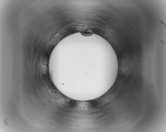 X0000102250226200808151824