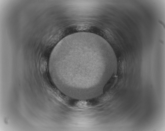 X0000102250227200808151824