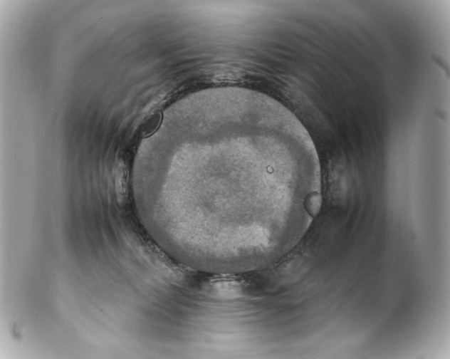 X0000102250228200808151824