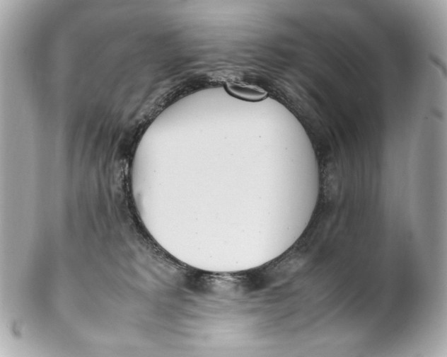 X0000102250229200808151824