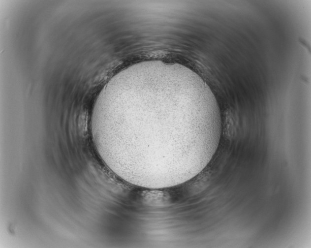 X0000102250230200808151824