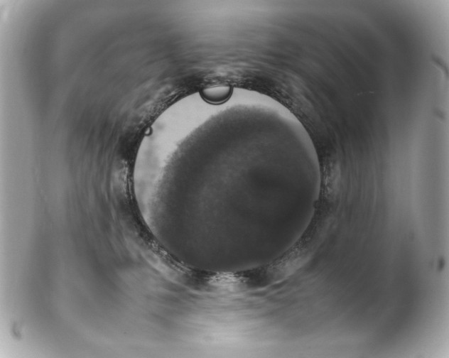 X0000102250231200808151824