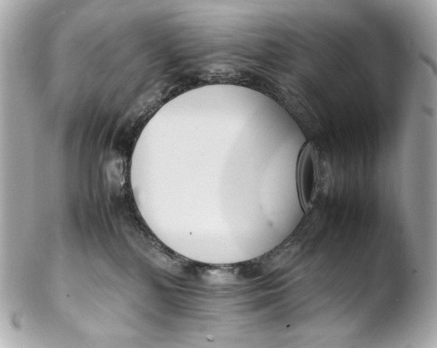 X0000102250232200808151824