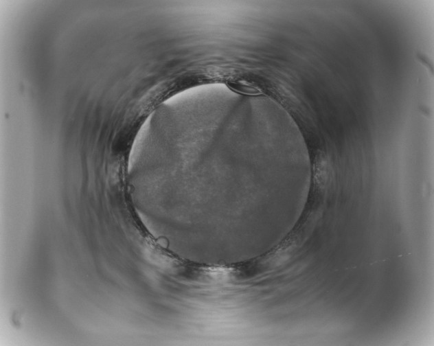 X0000102250233200808151824