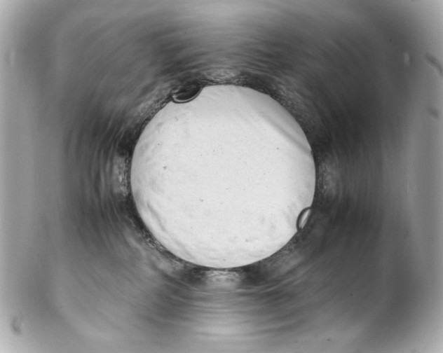 X0000102250234200808151824