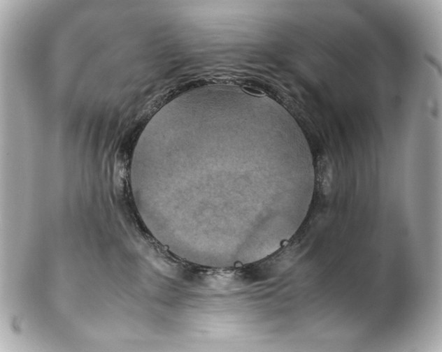 X0000102250235200808151824