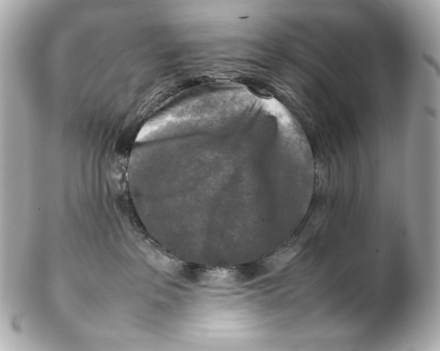 X0000102250237200808151824