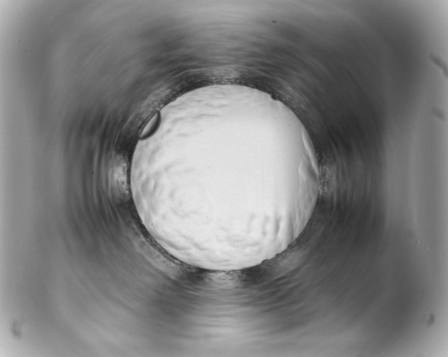X0000102250238200808151824