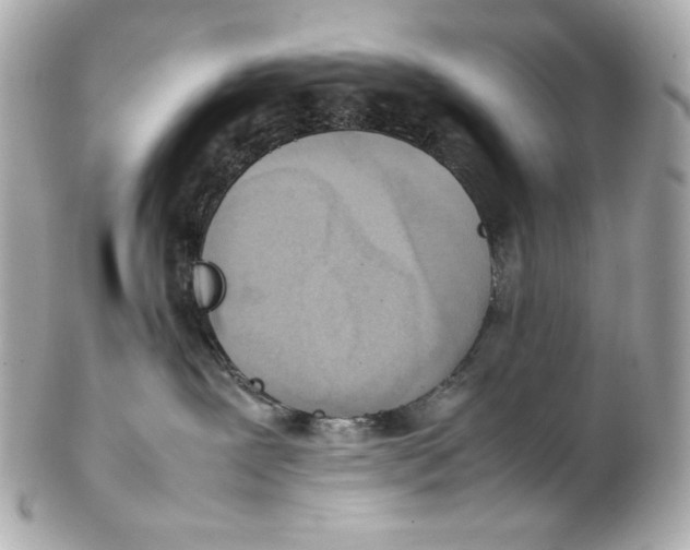 X0000102250239200808151824