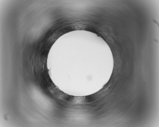 X0000102250240200808151824